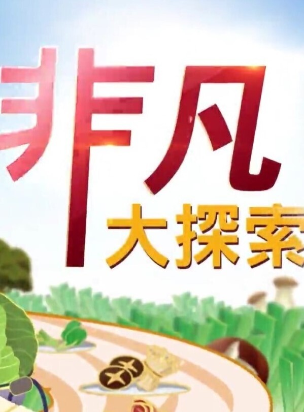 推特博主Elsa真实约反差钢琴老师啪啪自拍 - 无需等待海报