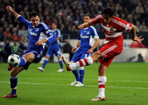 年来大力培 年来大力培