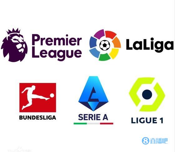 进球冲入场 进球冲入场