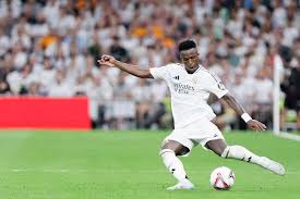 的明星需求 的明星需求